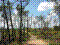 Chemin Vert bois 01.jpg
